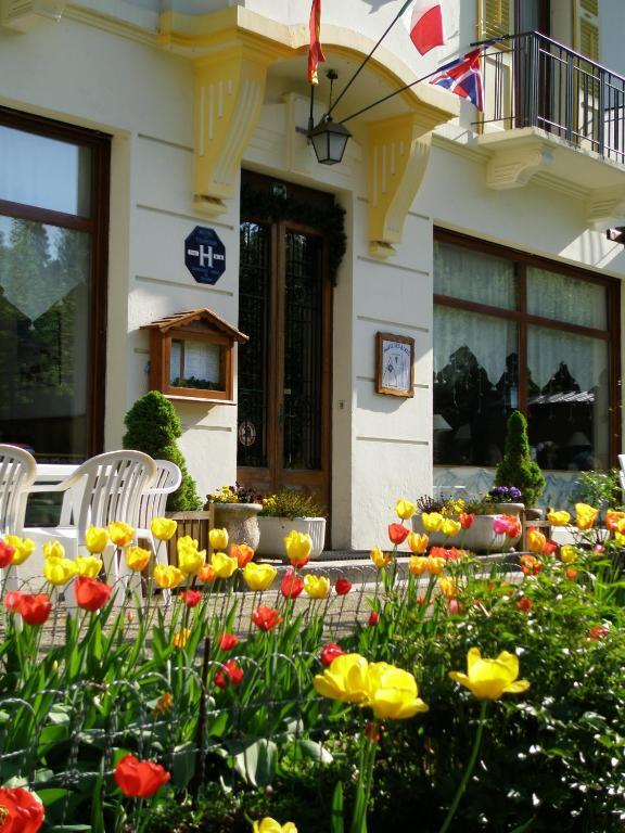 Hotel Des Alpes Брид-Ле-Бэн Экстерьер фото